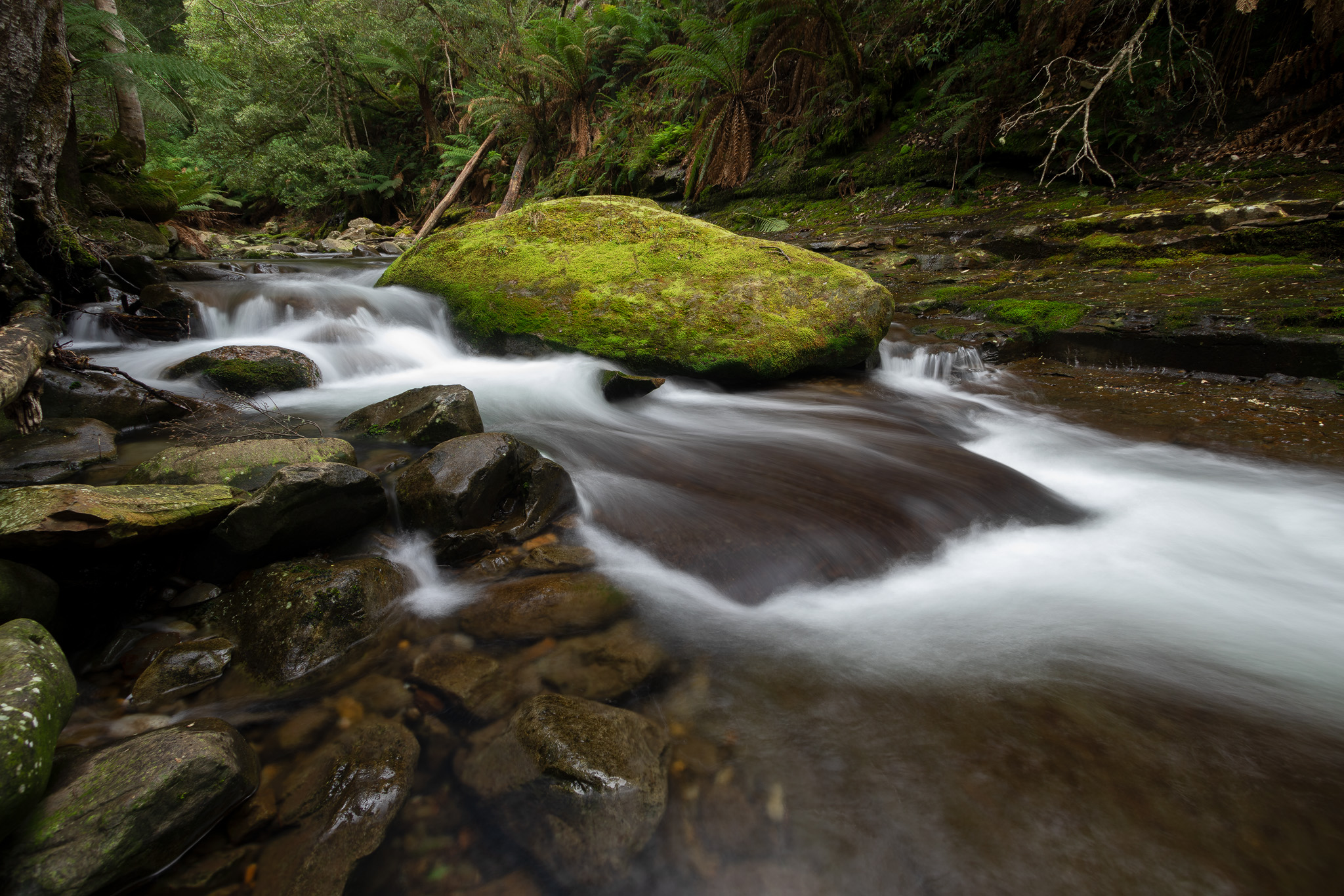 TASMANIA LANDSCAPES